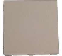 Заглушка Systeme Electric ArtGallery Шампань без суппорта для многопостовых рамок GAL000509