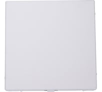 Заглушка Systeme Electric ArtGallery Лотос без суппорта для многопостовых рамок GAL001309