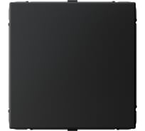 Заглушка для многопостовых рамок Systeme Electric ArtGallery, без суппорта, Карбон GAL001009