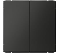 Переключатель Systeme Electric ArtGallery Базальт 2-клавишный, сх.6/2, 10АХ, механизм GAL001465