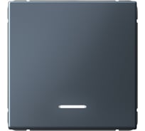 Выключатель с подсветкой 1-клавишный ArtGallery, 10 АХ, механизм Systeme Electric Грифель GAL000713