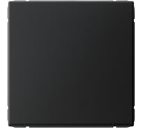 Выключатель кнопочный 1-клавишный ArtGallery, 10 АХ, механизм Systeme Electric Карбон GAL001015
