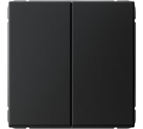 Механизм 2-клавишного выключателя Systeme Electric ArtGallery Карбон кнопочный, сх.2, 10А GAL001017