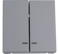 Механизм 2-клавишного выключателя Systeme Electric ArtGallery Сталь с подсветкой, сх.5а, 10АХ GAL000953