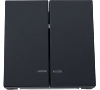 Механизм 2-клавишного выключателя Systeme Electric ArtGallery Базальт ,с подсветкой, сх.5а, 10АХ GAL001453