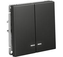 Выключатель с подсветкой 2-клавишный ArtGallery Systeme Electric 10 АХ, механизм, Базальт GAL001453