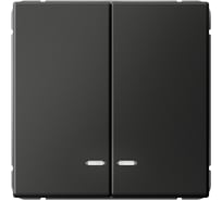 Выключатель с подсветкой 2-клавишный ArtGallery Systeme Electric 10 АХ, механизм, Базальт GAL001453