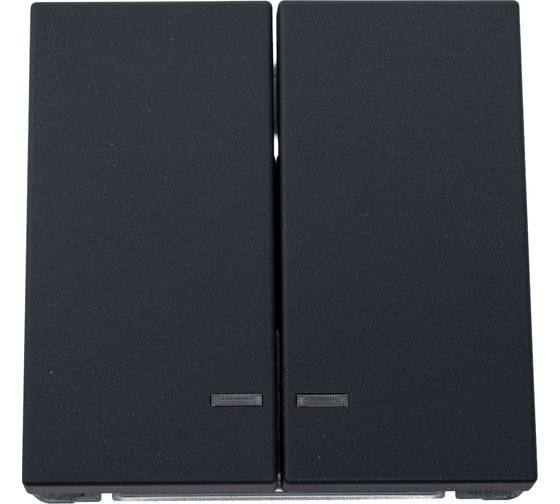 Механизм 2-клавишного выключателя Systeme Electric ArtGallery Базальт ,с подсветкой, сх.5а, 10АХ GAL001453 1