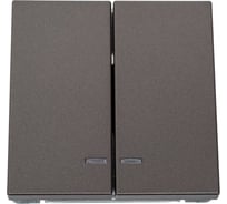 Механизм 2-клавишного выключателя Systeme Electric ArtGallery Мокко с подсветкой, сх.5а, 10АХ GAL000653