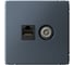 Розетка двойная ТВ + компьютерная Systeme Electric ArtGallery Грифель RJ45, кат. 5Е GAL000789 1