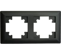 Рамка STEKKER PFR00-7002-05 2-местная, серия Катрин, черный, 39813