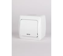 Выключатель одноклавишный с подсветкой ELBI Alsu 7 белый 504-010200-201