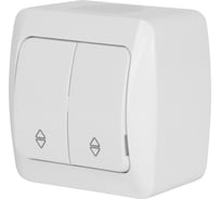 Переключатель Elbi Alsu 7 белый двухклавишный проходной 504-010200-211