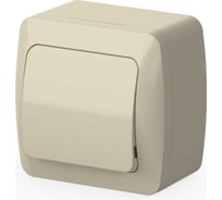 Выключатель одноклавишный ELBI Alsu 7 кремовый 504-010300-200