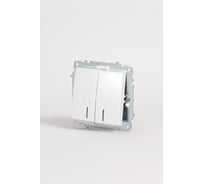 Выключатель двухклавишный Elbi Zena Vega белоснежный с подсветкой M+K 609-015600-203