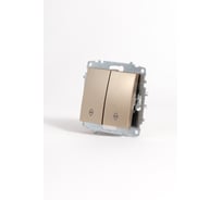 Переключатель Elbi Zena Vega Титан двухклавишный M+K 609-011400-211