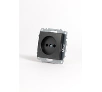 Розетка Elbi Zena Vega дымчатый без заземления M+K 609-011100-215