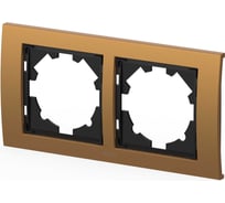 Рамка 2-местная Elbi Zena Platin Матовое Золото 500-073500-226