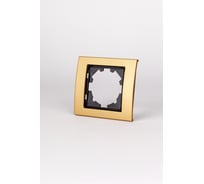 Рамка 1-местная Elbi Zena Platin Матовое Золото 500-073500-271