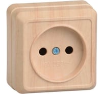 Розетка GENERICA 1местн. без з/к 10А откр.уст. ОКТАВА сосна ERO10-K03-10-DC