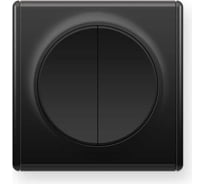 Комплект OneKeyElectro Выключатель двухклавишный (1 шт.); рамка (1 шт.), цвет черный 2242884