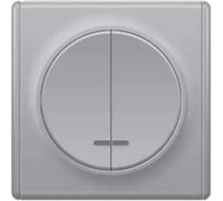 Комплект OneKeyElectro Выключатель двухклавишный с подсветкой (1 шт.); рамка (1 шт.), цвет серый 2242879
