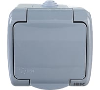 1-ая розетка IEK AQUATIC РСш12-2-А с заземляющим контактом, открытой установки, 16А, IP54 ERA12-K03-16-54