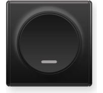 Комплект OneKeyElectro Выключатель одноклавишный с подсветкой (1 шт.); рамка (1 шт.), цвет черный 2242888