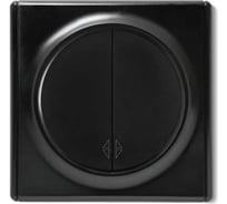 Комплект OneKeyElectro Переключатель (проходной) двухклавишный (1 шт.); рамка (1 шт.), цвет черный 2242900
