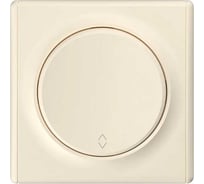 Комплект OneKeyElectro Переключатель (проходной) одноклавишный (1 шт.); рамка (1 шт.), цвет бежевый 2242901