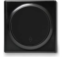 Комплект OneKeyElectro Переключатель (проходной) одноклавишный (1 шт.); рамка (1 шт.), цвет черный 2242904