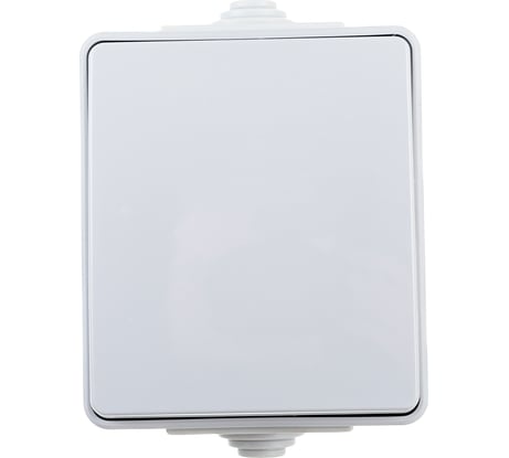 Переключатель ЭРА Эксперт, 11160303, IP65, 10АХ250В, ОУ, серый, 10 Б0035975