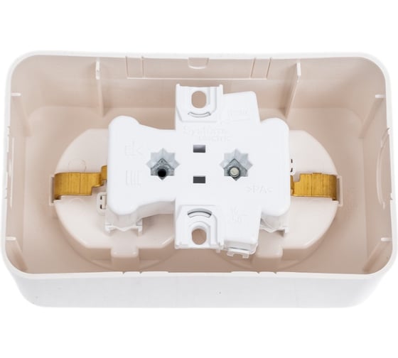 Розетка Systeme Electric BLANCA двойная, с заземлением, со шторками, молочный BLNRA011202