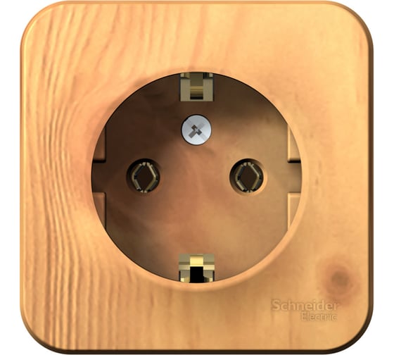 Розетка Systeme Electric BLANCA с заземлением, без шторок, ясень BLNRA010105 1