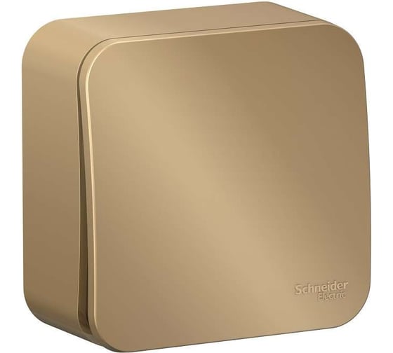 1-клавишный переключатель Systeme Electric BLANCA, О/У, cх.6, 10А, 250B, титан BLNVA106014