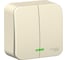 2-клавишный выключатель с подсветкой Systeme Electric BLANCA, О/У, 10А, 250B, молочный BLNVA105102 2