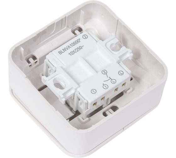 2-клавишный выключатель Systeme Electric BLANCA, О/У, 10А, 250B, белый BLNVA105001