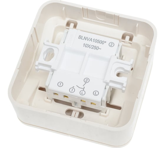 2-клавишный выключатель Systeme Electric BLANCA, О/У, 10А, 250B, молочный BLNVA105002