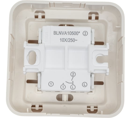 2-клавишный выключатель Systeme Electric BLANCA, О/У, 10А, 250B, молочный BLNVA105002