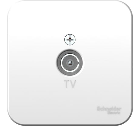 ТВ коннектор Systeme Electric BLANCA, О/У, белый BLNTA000011