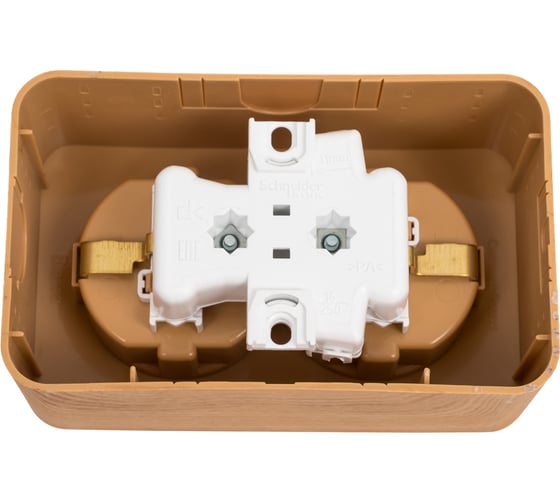 Двойная розетка Systeme Electric BLANCA, О/У, с заземлением, со шторками, ясень BLNRA011205