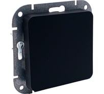 Механизм выключателя 1-клавишный перекрестный Bylectrica СУ серия АСТРУМ, карбон () С6/2 10-3562 карбон