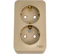 Двойная розетка Systeme Electric BLANCA, О/У, с заземлением, со шторками, 16А, 250В, титан BLNRA011214