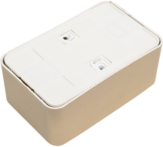 Двойная розетка Systeme Electric BLANCA, О/У, с заземлением, со шторками, 16А, 250В, титан BLNRA011214