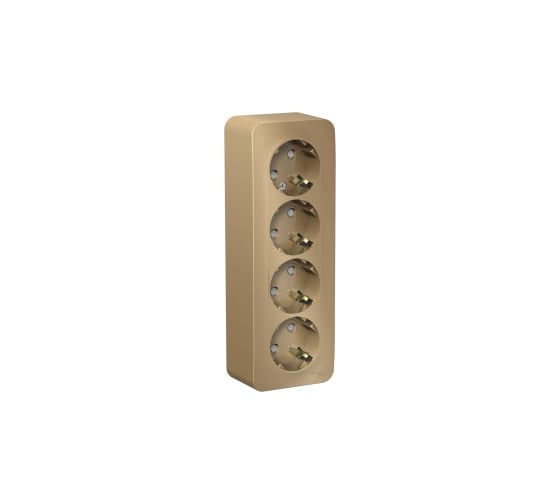 Розетка Systeme Electric BLANCA, О/У, 4-я, с заземлением, со шторками, титан BLNRA011414