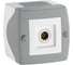 Розетка Mono Electric Octans Tv проходная Белая 104-010104-127 1