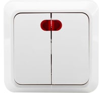 Двухклавишный выключатель Jilion с подсветкой белый 9533416