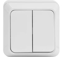 Двухклавишный выключатель Jilion белый 9533412