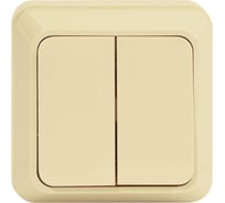 Двухклавишный выключатель Jilion бежевый 9533413