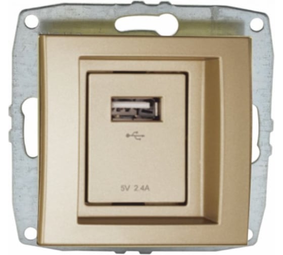Розетка c USB зарядкой MONO ELECTRIC L / D Механизм Титан 500-002205-177 1
